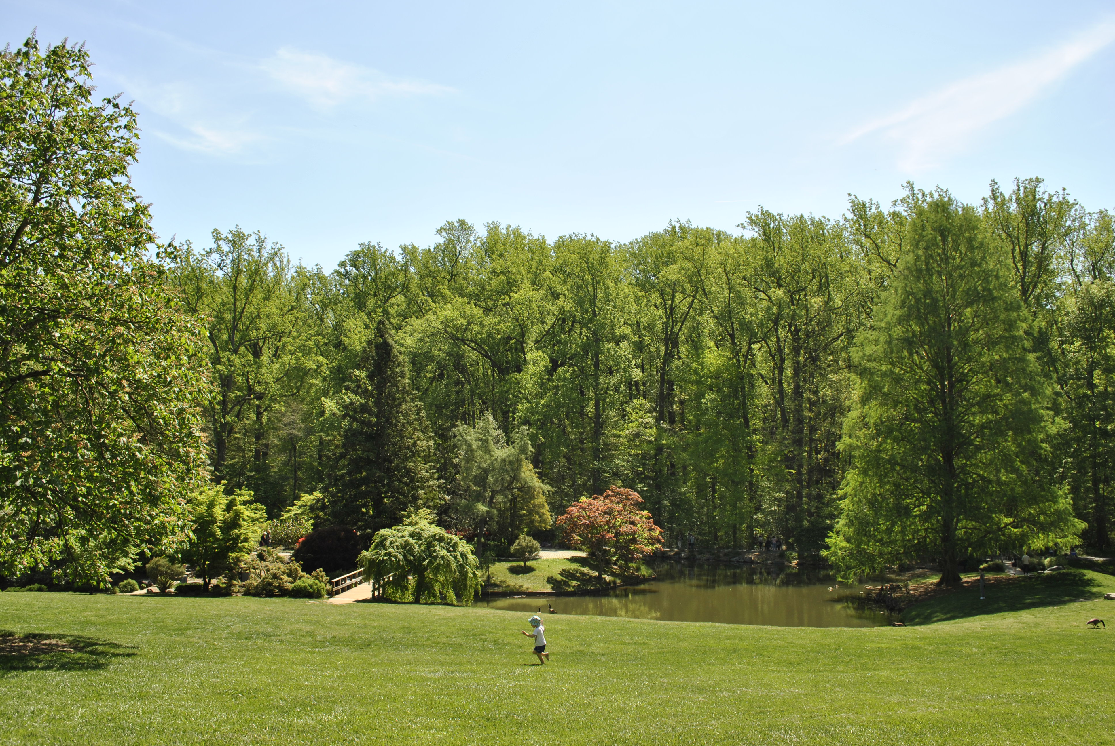 Brookside Gardens